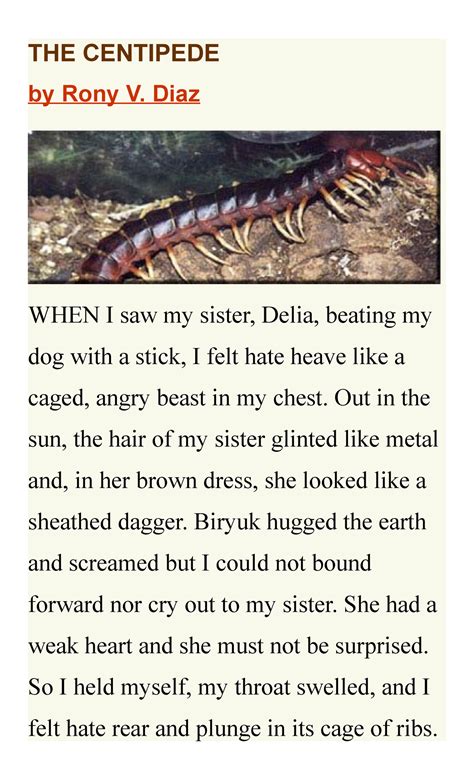 the centipede by rony v. diaz summary|THE CENTIPEDE .